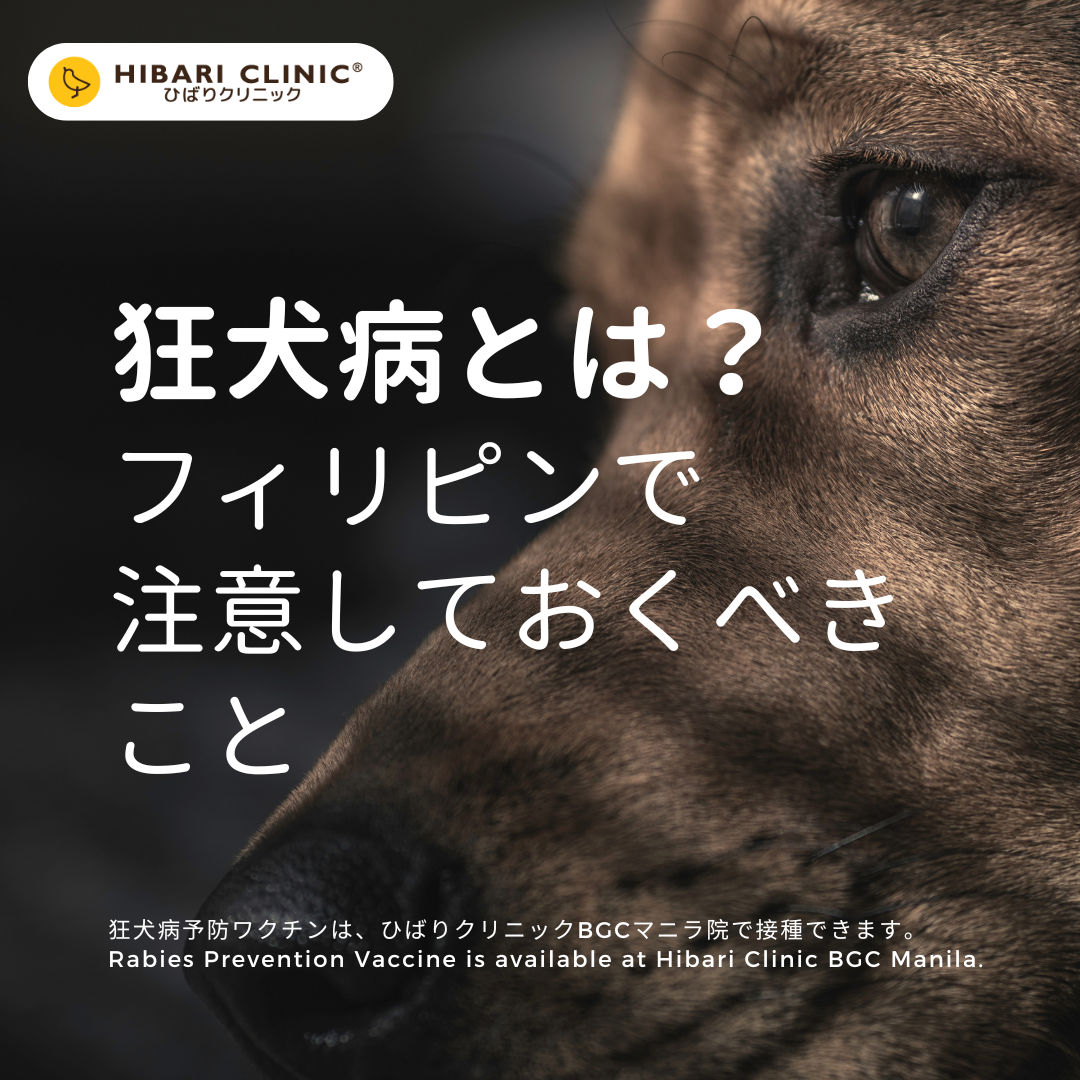 狂犬病 ペット 安い なったら